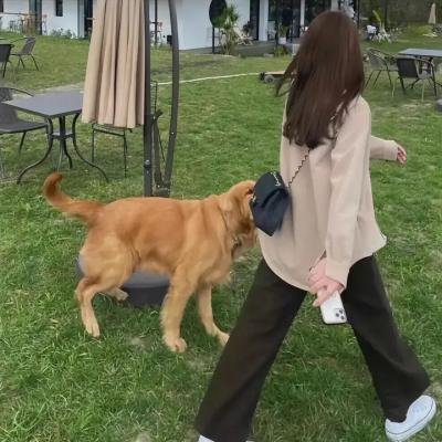 熊猫计划之部落奇遇记
